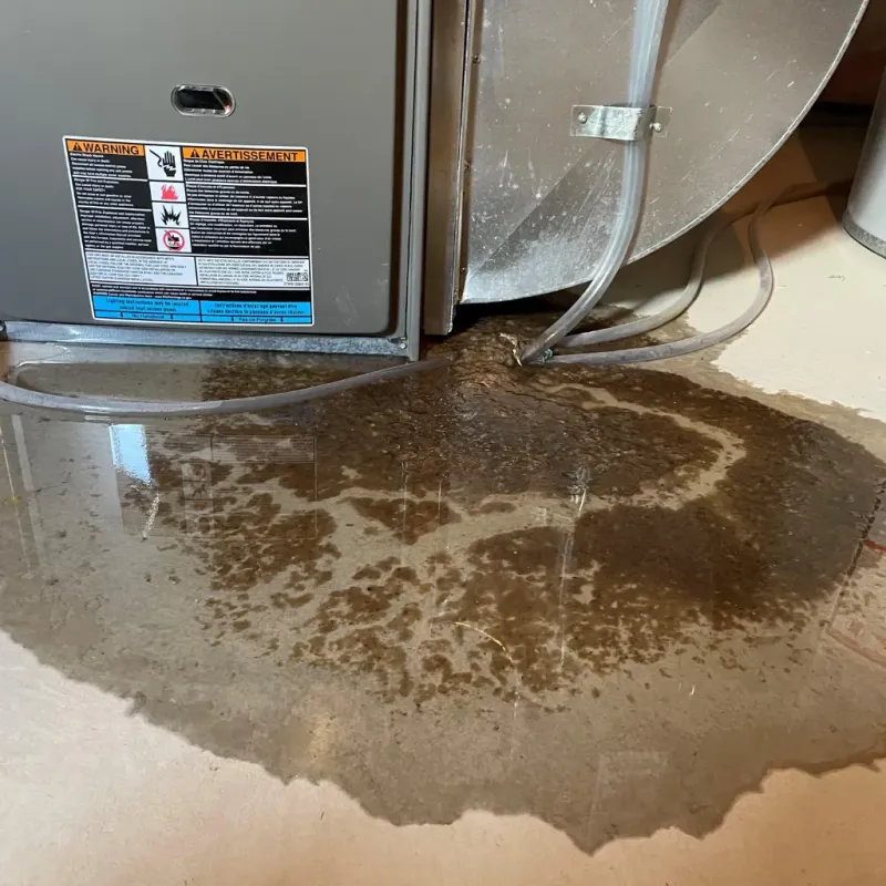 Appliance Leak Cleanup in Kailua-Kona, HI